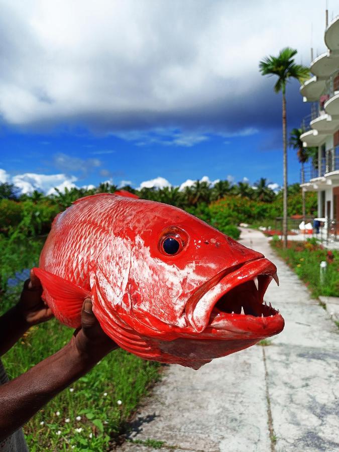 Parkresort - Organic Farm Resort Kala Pathar Beach Bagian luar foto
